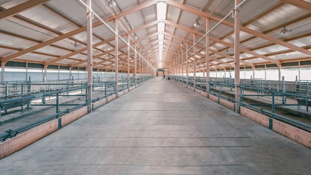 Interior of a farm shed with steel pipe railing along timber-framed animal pens and a concrete walkway